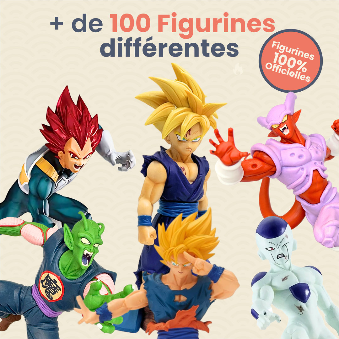 La Box MystĂšre Dragon Ball đ