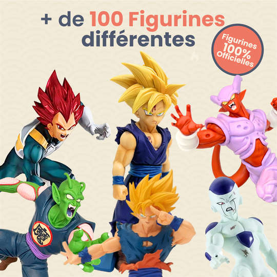 La Box MystĂšre Dragon Ball đ