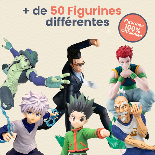 La Box Mystère Hunter x Hunter 🦖