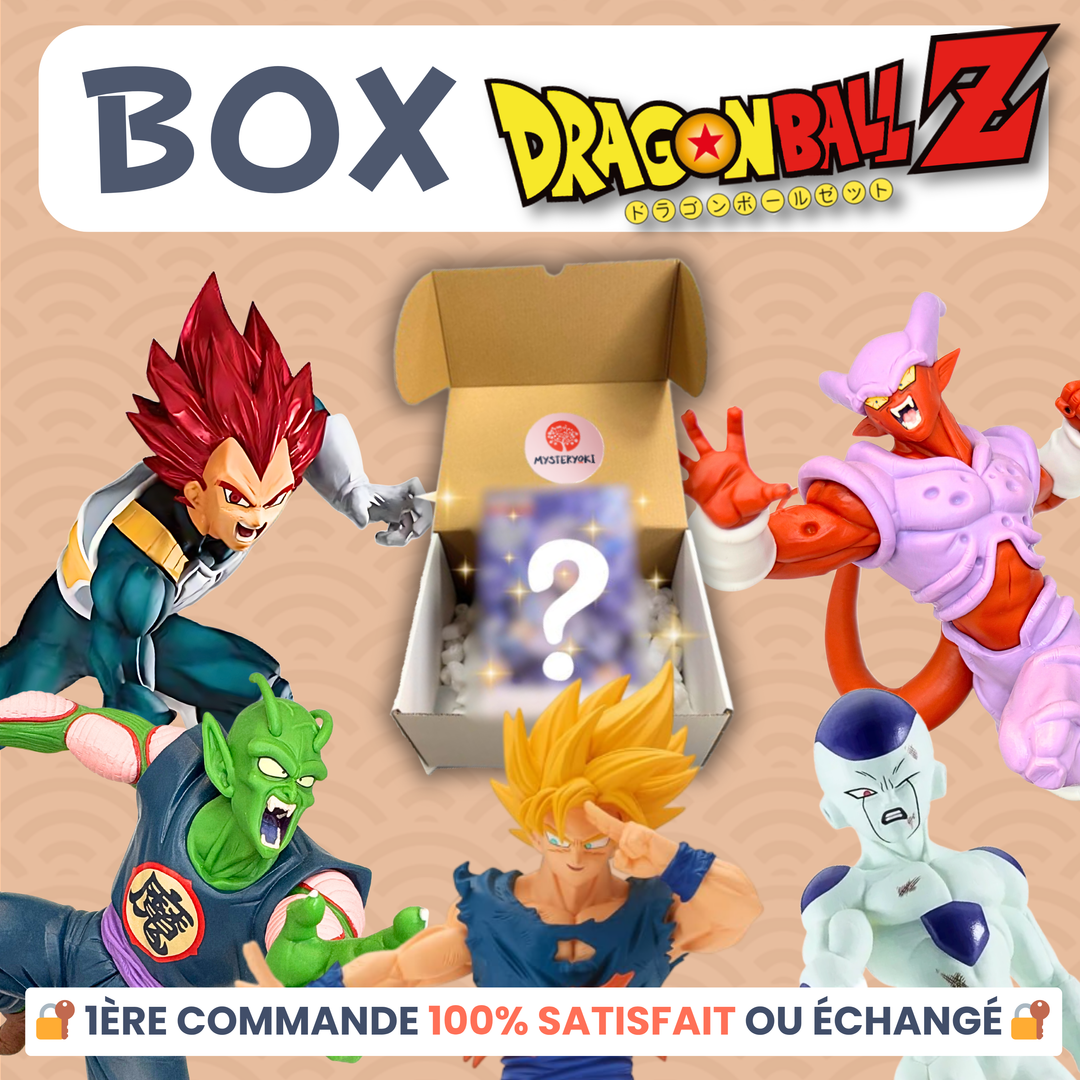 La Box MystĂšre Dragon Ball đ
