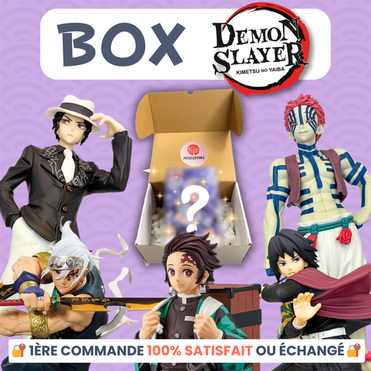 La Box Mystère Demon Slayer 👺
