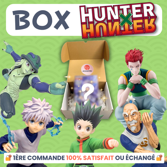 La Box Mystère Hunter x Hunter 🦖