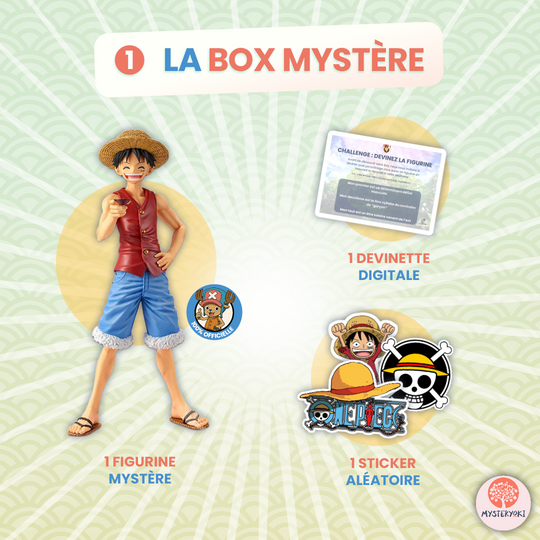Pack Spécial One Piece ☠️