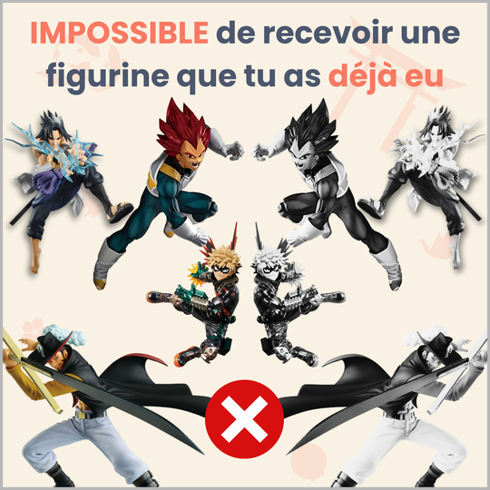 La Box Mystère de figurine manga 100% expérience ㊙️