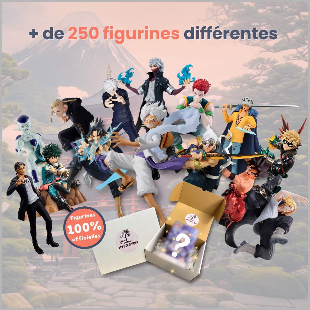 La Box Mystère de figurine manga 100% expérience ㊙️