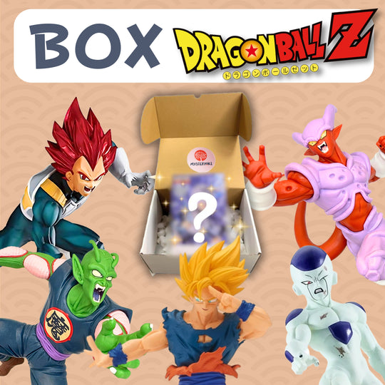 La Box Mystère Dragon Ball 🐉