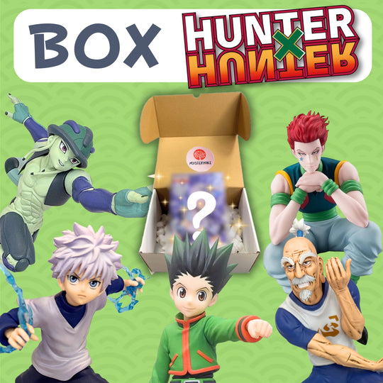 La Box Mystère Hunter x Hunter 🦖