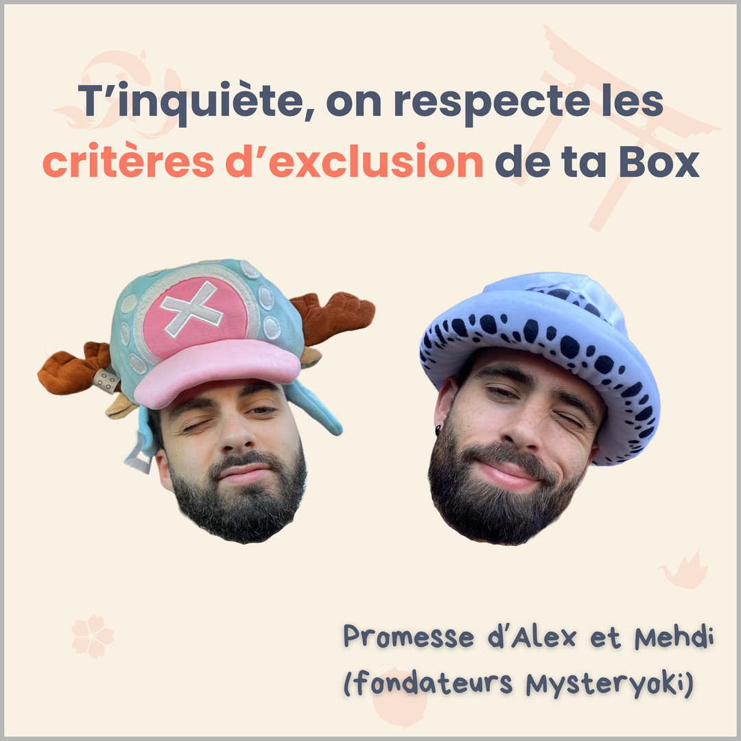 La Box Mystère de figurine manga 100% expérience ㊙️