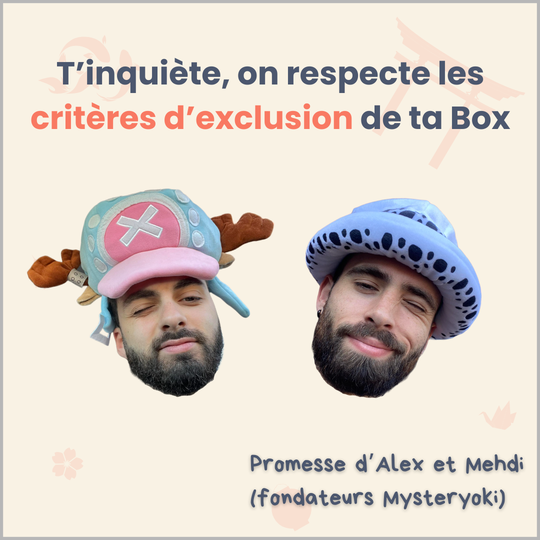 La Box Mystère de figurine manga 100% expérience ㊙️