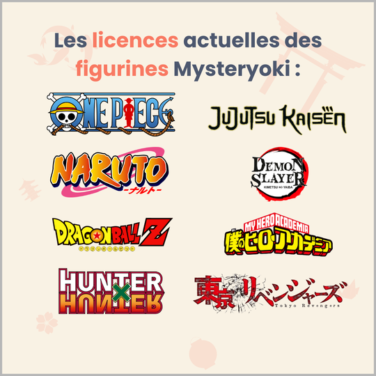 La Box Mystère de figurine manga 100% expérience ㊙️