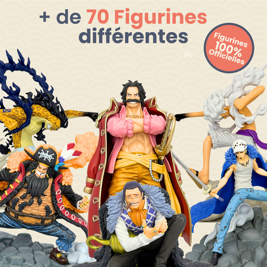 La Box Mystère One Piece 100% expérience 🏴‍☠️