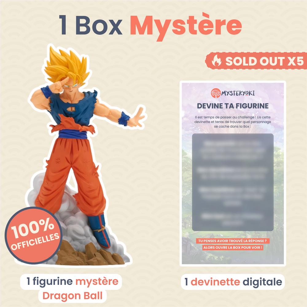 La Box Mystère Dragon Ball 🐉