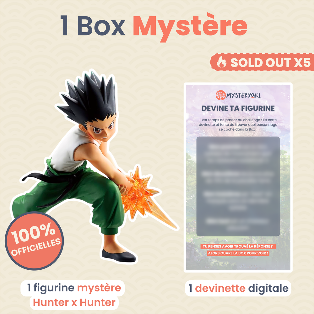 La Box Mystère Hunter x Hunter 🦖