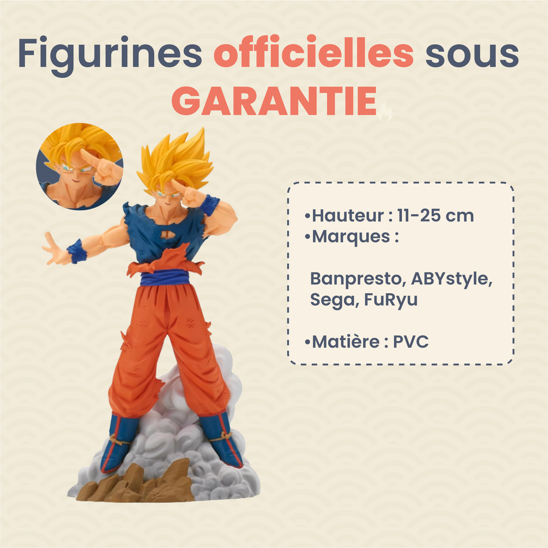 La Box Mystère de figurine manga 100% expérience ㊙️