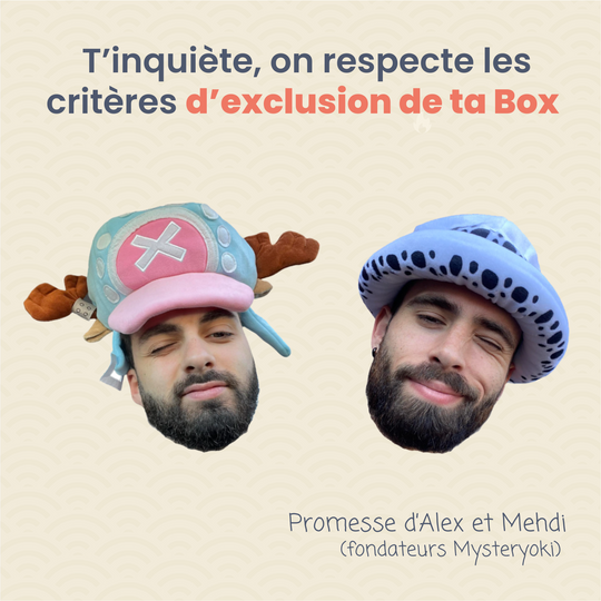 La Box Mystère One Piece 100% expérience 🏴‍☠️