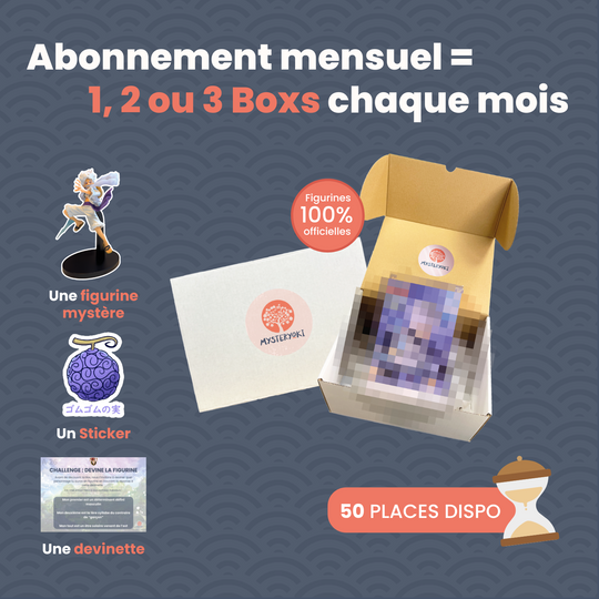 La Box Mystère Mensuelle (Figurine Manga) ㊙️