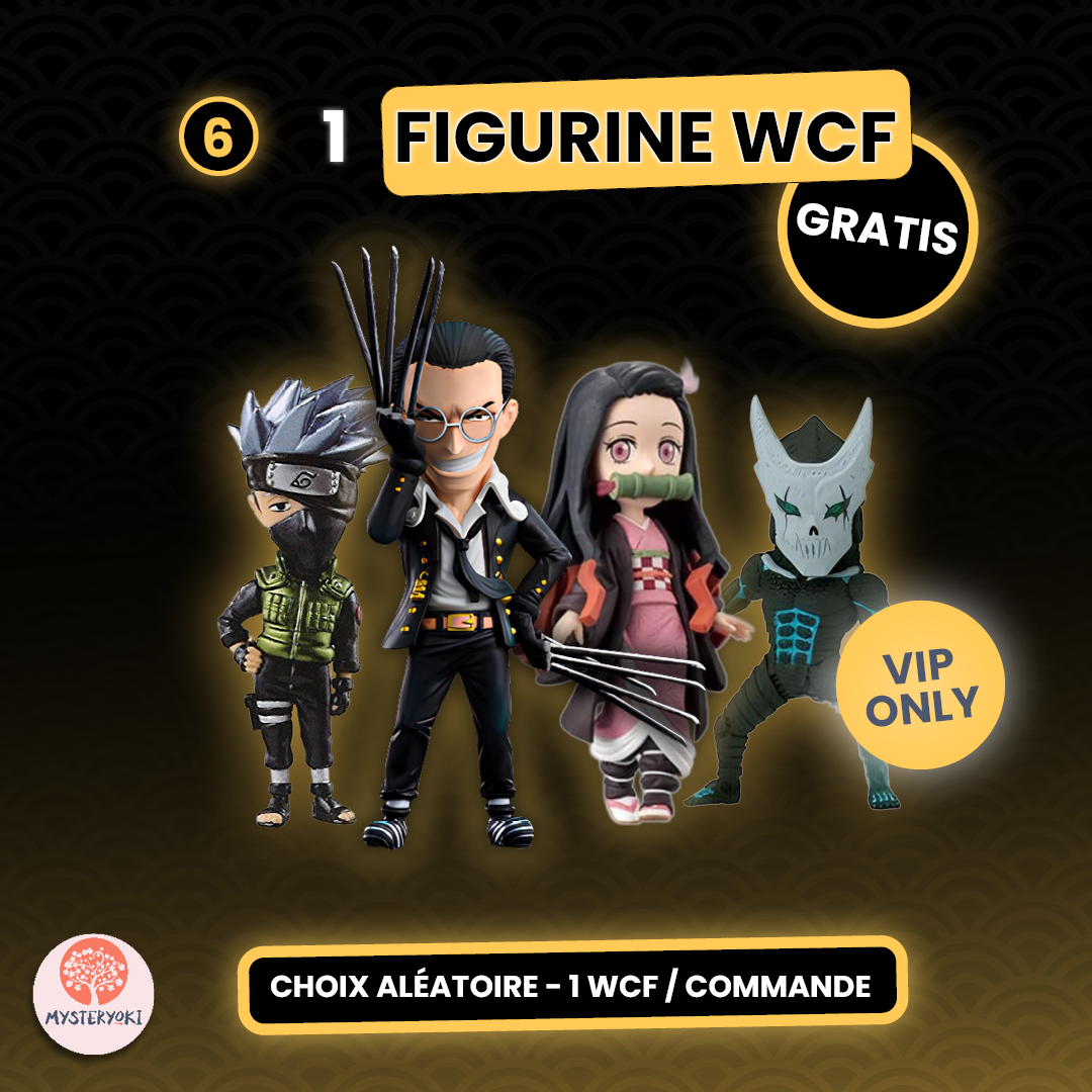 Figurine WCF OFFERTE