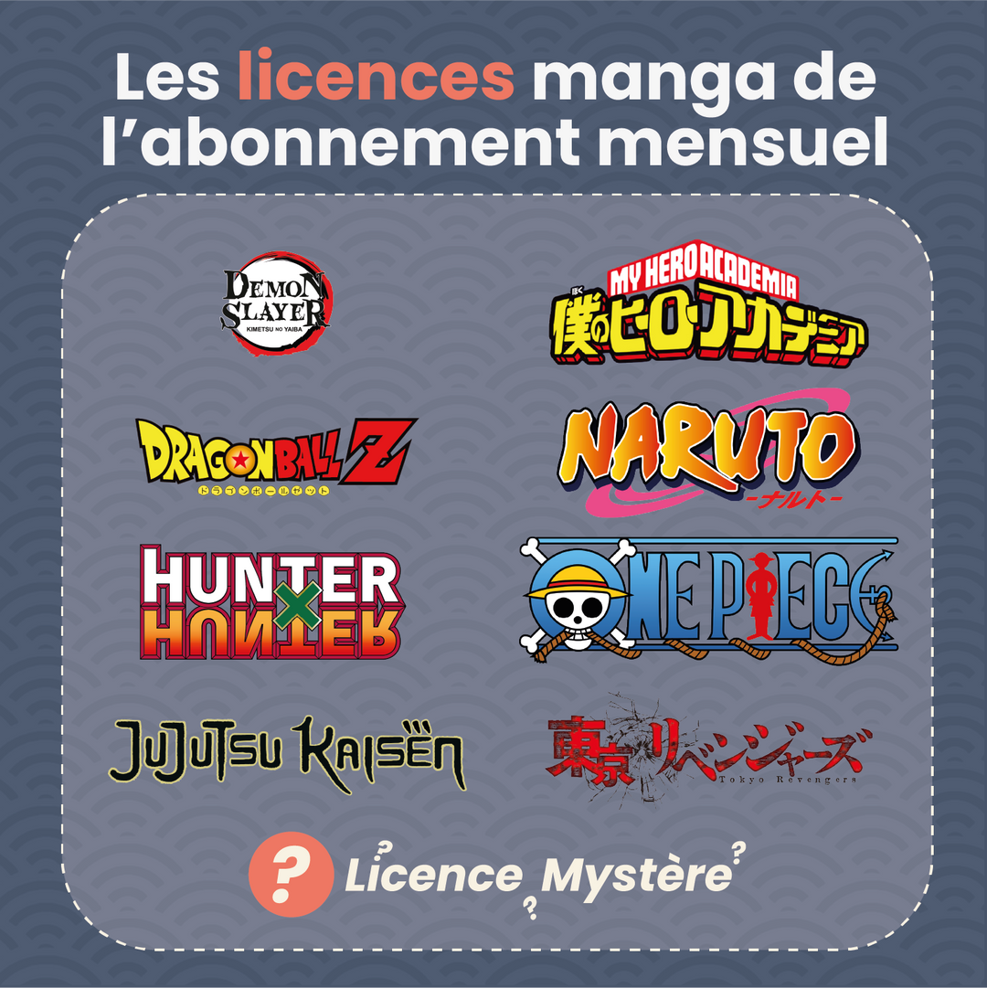 La Box Mystère Mensuelle (Figurine Manga) ㊙️
