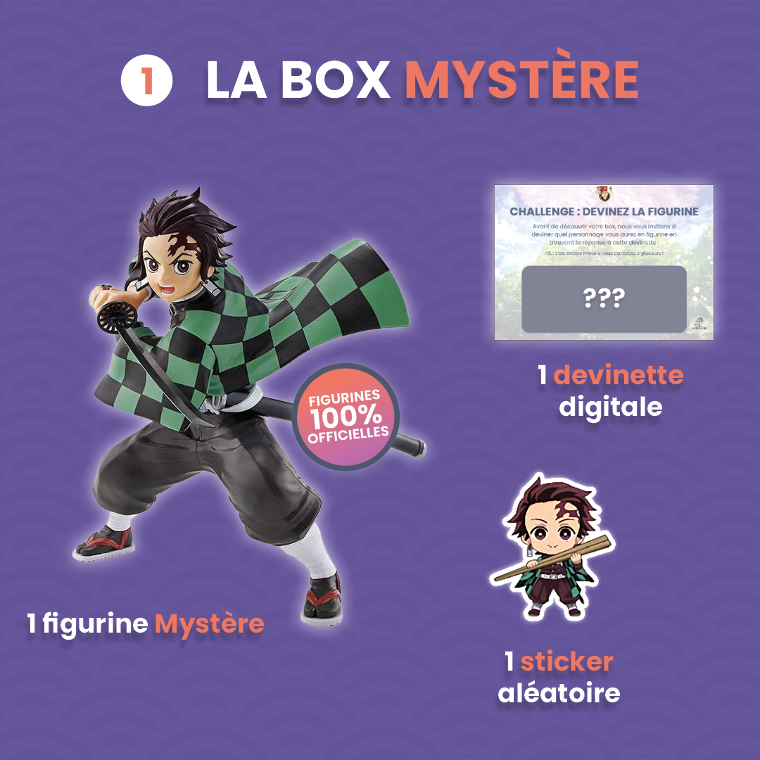 Pack Spécial Demon Slayer 👹